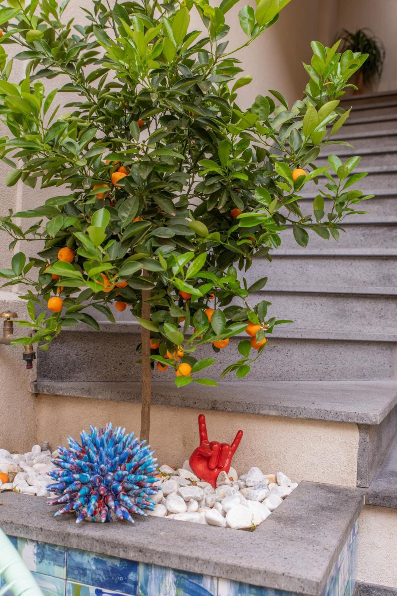 Villa D'Orville Luxury Suites טאורמינה מראה חיצוני תמונה